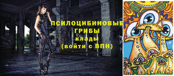 прущие грибы Дмитров
