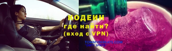 прущие грибы Дмитров