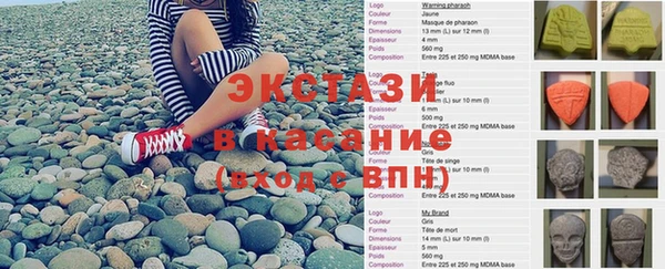 прущие грибы Дмитров