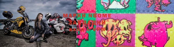 прущие грибы Дмитров